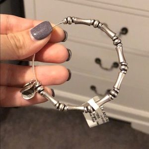 Alex and Ani Silver Bamboo bracelet